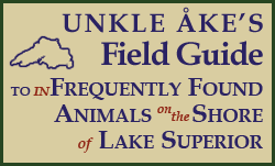 Unkle &Aring;ke's Field Guide